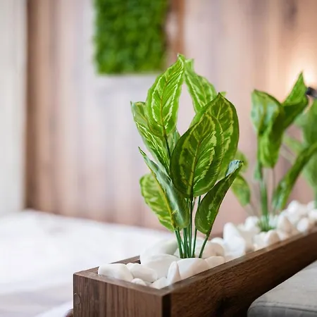 Aparthotel нові смарт-квартири з парком і набережною! Uzhhorod