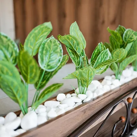 нові смарт-квартири з парком і набережною! מלון דירות